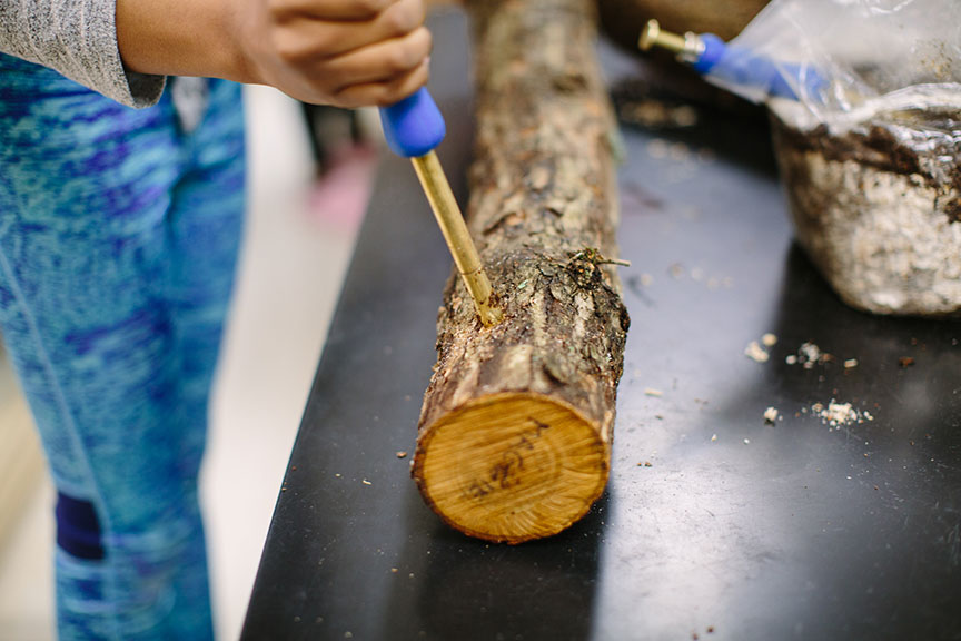 Junior Hish science at Greensboro Montessori School.