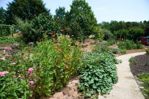 environmental science, Montessori, permaculture gardening