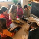 Elementary bee keeping environmental education Montessori